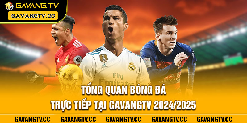 Tổng quan bóng đá trực tiếp tại GavangTV 2024/2025