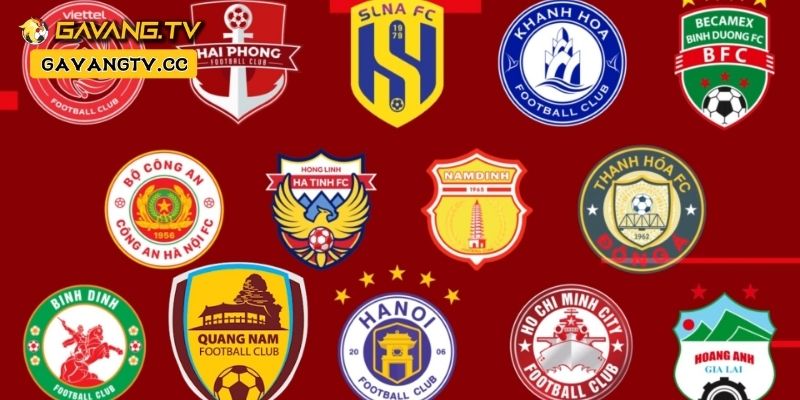 Lịch thi đấu V-League 2024 hôm nay