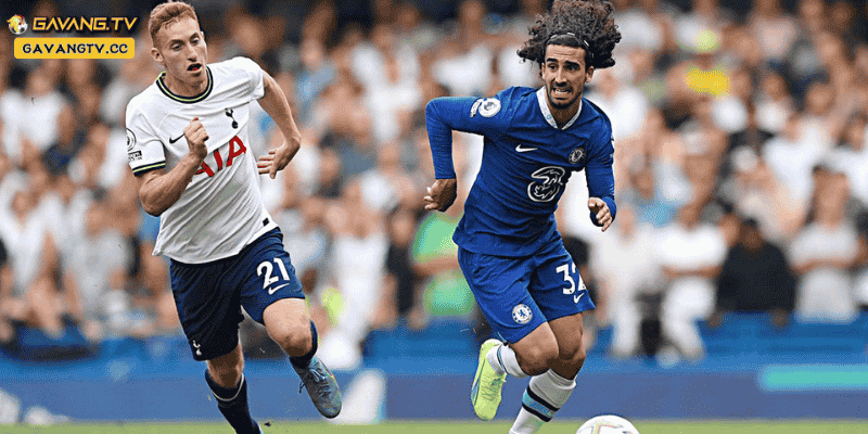 Đội hình dự kiến Tottenham vs Chelsea trong trận đấu vòng 15 Premier League 2024/25